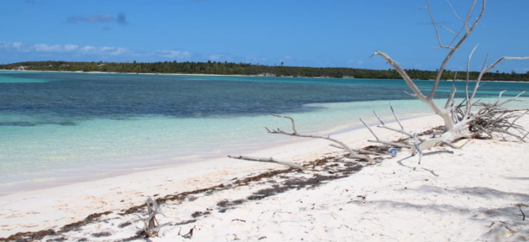 CDC Has Added Five New Areas To The “High” Danger Category For Traveling, Including The Bahamas.