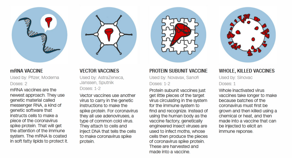 The FDA Will Urge Novavax To Assess The Benefits And Risks Of Its Covid-19 Vaccine.