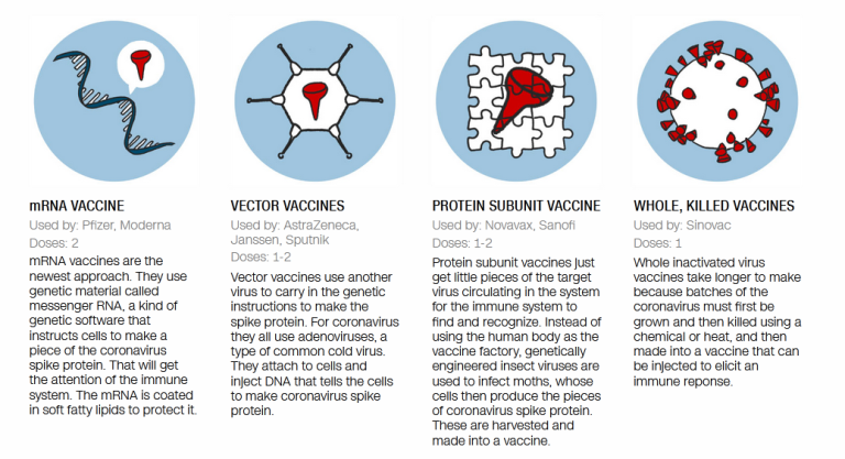 The FDA Will Urge Novavax To Assess The Benefits And Risks Of Its Covid-19 Vaccine.